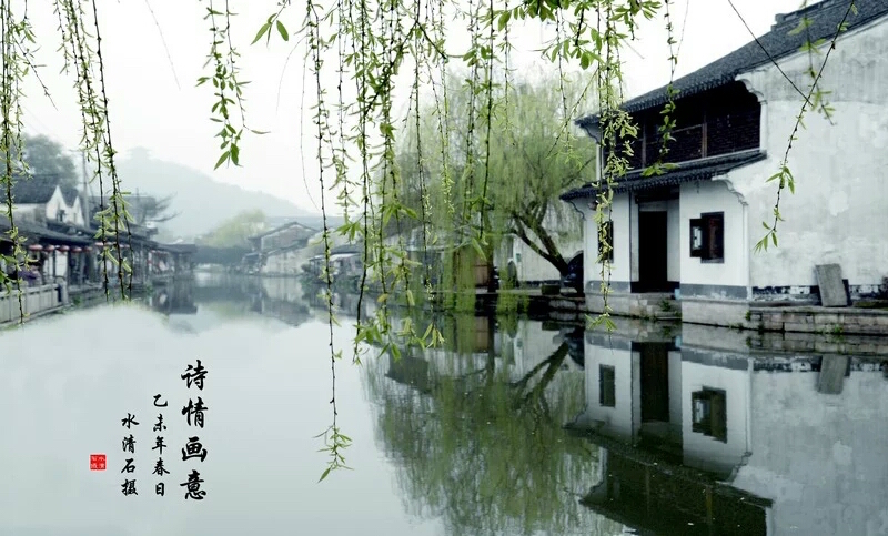杨明